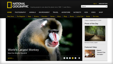 企业正版授权的骚扰短信呼叫软件